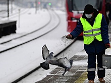 Поезда на МЦД следуют с отклонением от графика из-за сложных метеоусловий