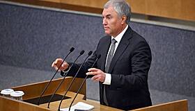 Володин нашел виновников обмеления российских рек