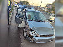 В Челябинске 17-летнюю девушку сбила насмерть иномарка, которой управлял пьяный мужчина
