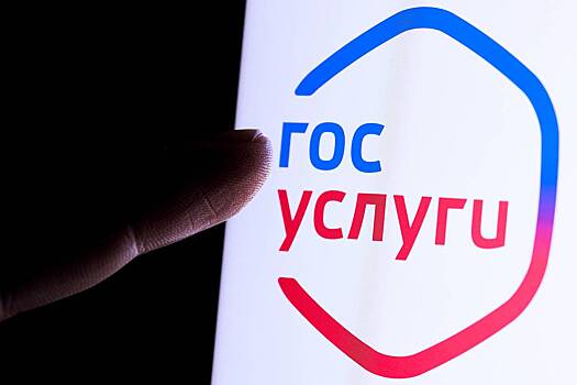 На «Госуслугах» появилась функция анонимной связи с водителем