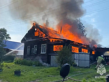Пожар из-за холодильника оставил нижегородскую семью без дома