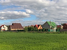 Коронавирус загнал бордели в СНТ