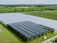 Черешни под солнечными панелями должны дать наилучший урожай