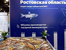 Предприятия рыбохозяйственного комплекса Дона представили свою продукцию в Санкт-Петербурге