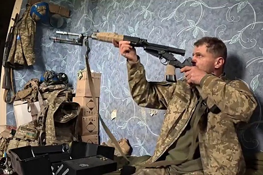 "Военная хроника" показала материал об службе немецких снайперов в ВСУ