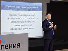 Воронеж презентовал ресурсы для развития цифровой экономики