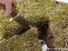 Коронавирус вывел Свердловскую область в тройку лидеров по росту цен на землю