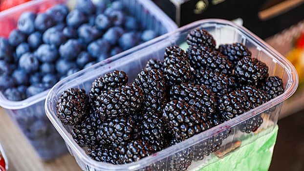 Врач назвала продукты, улучшающие работу мозга