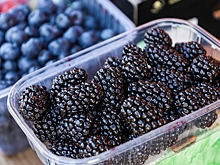Какие продукты улучшают работу мозга