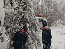 В Новгородской области из-за непогоды остались без света почти 12 тысяч человек