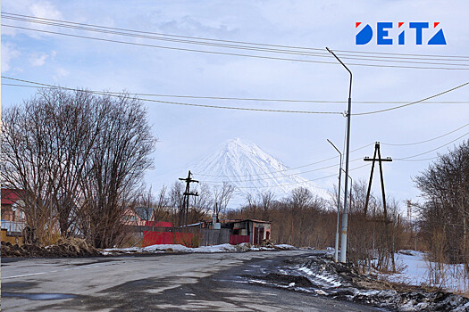 Освободить уехавших россиян в обмен на работу на Дальнем Востоке предложили в Госдуме