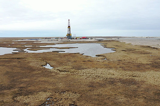 ИЭИ РАН: Россия может потерять статус энергетической державы к 2050 году