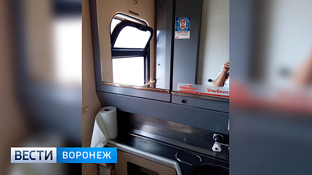 Проводник о смерти воронежца: «Через форточку в туалете поезда почти невозможно выбраться»