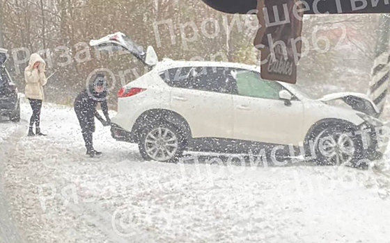 В Рязанском районе девушка на кроссовере врезалась в столб