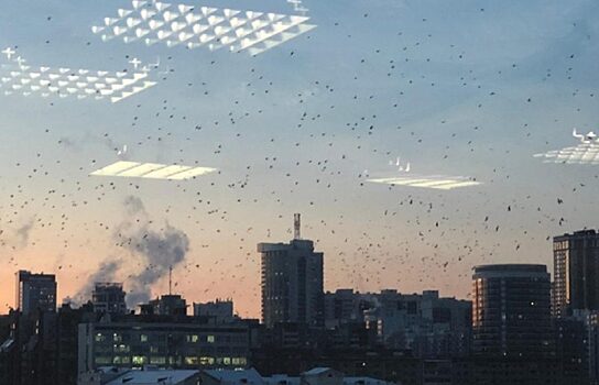 Птичий апокалипсис: екатеринбуржцев напугала огромная стая птиц в небе