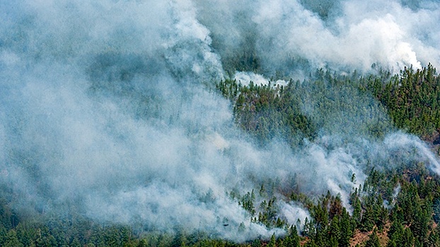В России за сутки ликвидировано 49 лесных пожаров