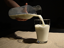 Не детское питание: Кто покрывает молочный фальсификат?
