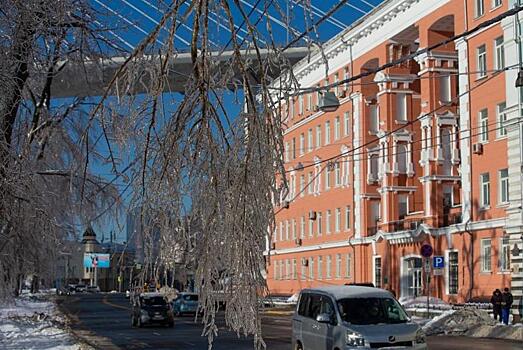 Популярный российский блогер назвал Владивосток самым распальцованным городом России
