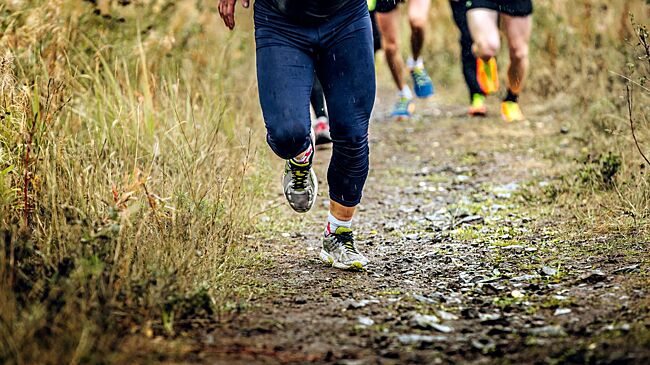 Кросс «Сердце Сибири» пройдёт в Томске 26 октября