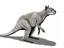 Теорию уничтожения людьми мегафауны Австралии поставили под сомнение