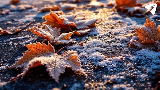 Воскресенье будет пасмурным