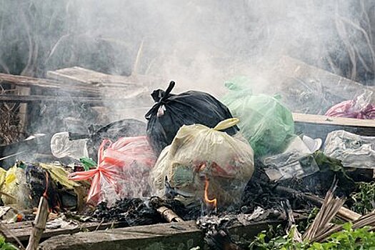 Сжигание мусора в России столкнулось с проблемами из-за санкций