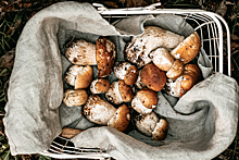 Как приготовить вкуснейшую «казачью щепу» с грибами