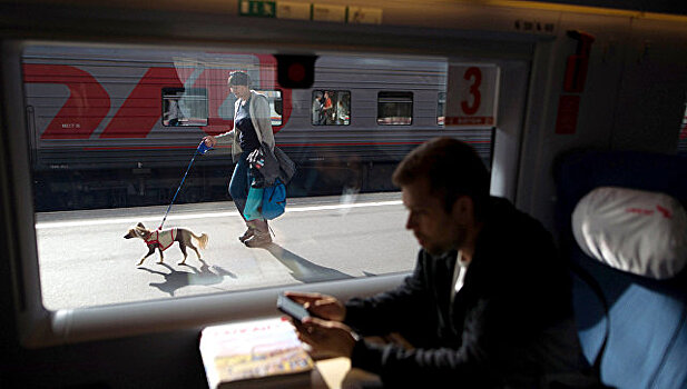 "Дочка" РЖД назвала самый популярный поезд для поездок животных без хозяина