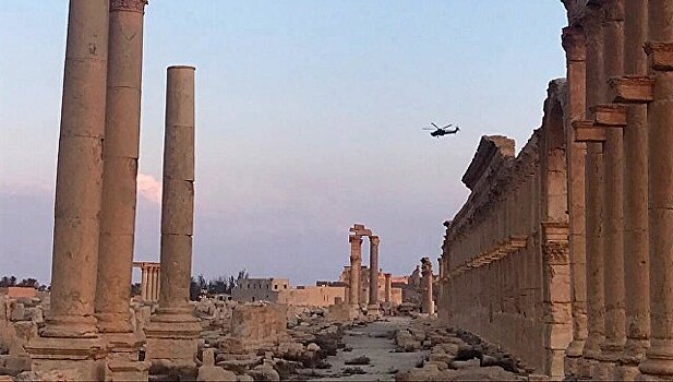 Россия и Сирия снимут совместный художественный фильм "Пальмира"