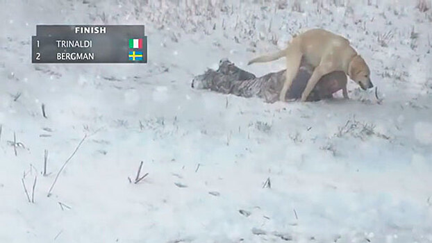 Двое на горе, не считая собаки: телеканал ABC показал пародийную «олимпийскую гонку»
