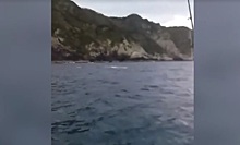 Рыбак случайно поймал кита на удочку