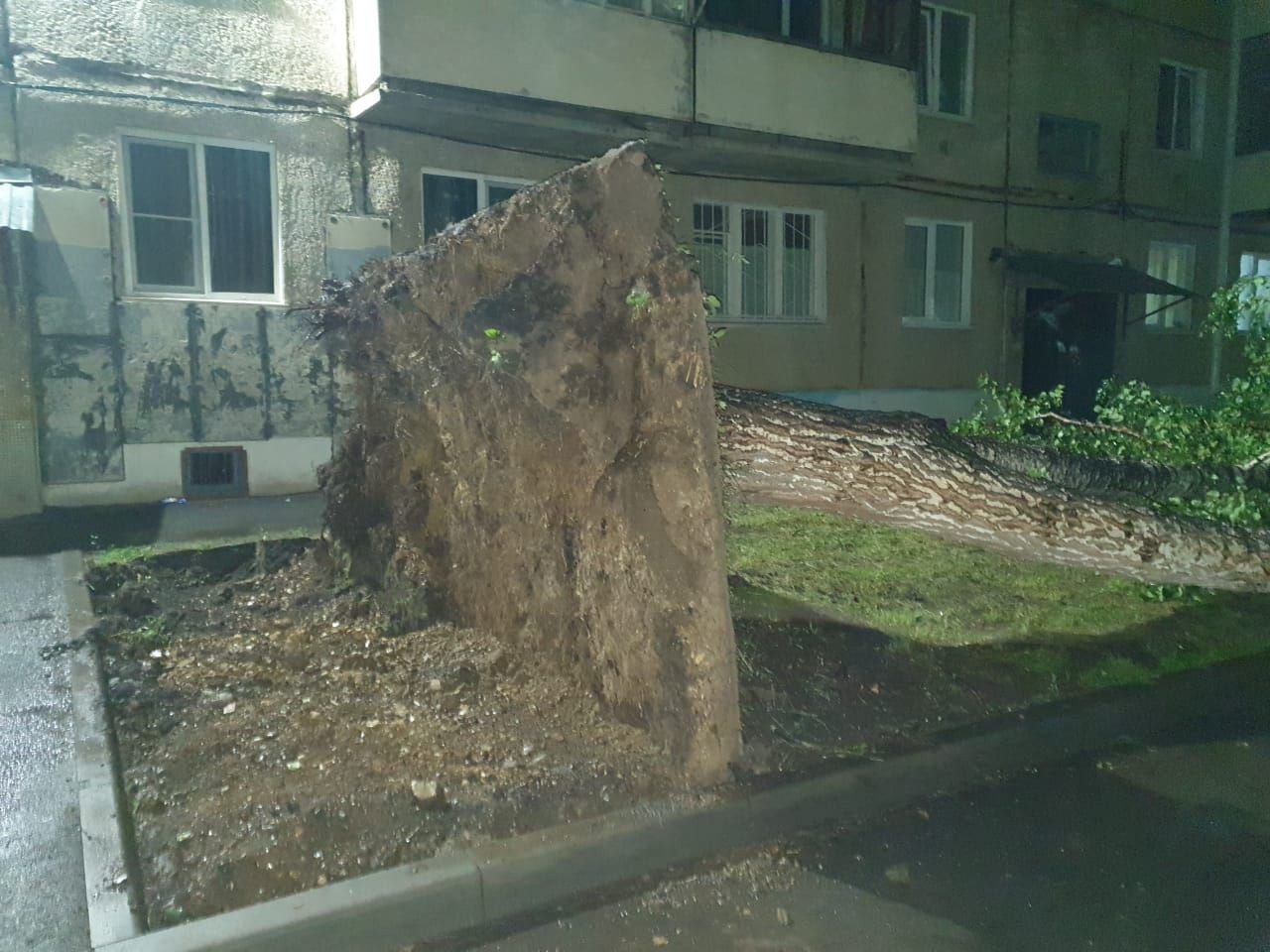 Деревья рухнули на дорогу и автомобили в кузбасском городе