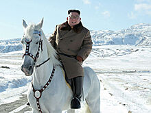 Ким Чен Ын вновь посетил священную гору на белом коне