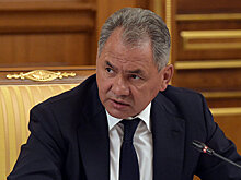 Шойгу обсудил со своим сербским коллегой перспективы сотрудничества