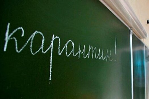В 17 орловских школах объявлен карантин