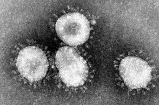 Непривитые создают благоприятные условия для мутаций коронавируса — мнение
