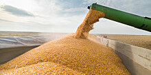 Первый миллион тонн зерновых собрали в Казахстане