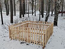 В Заречном обновили ограждение вокруг легендарного муравейника