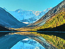 В Алтайском крае число больных корью возросло до семи человек