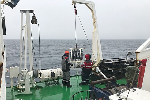 На кухню планеты: ученые изучают в Арктике климат, ищут новые вирусы и бактерии