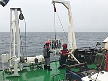 На кухню планеты: ученые изучают в Арктике климат, ищут новые вирусы и бактерии