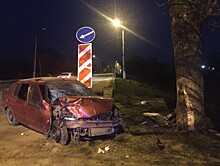 В Твери уснувший водитель иномарки врезался в дерево