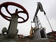 Путин обсудил с наследным принцем Саудовской Аравии снижение нефтедобычи