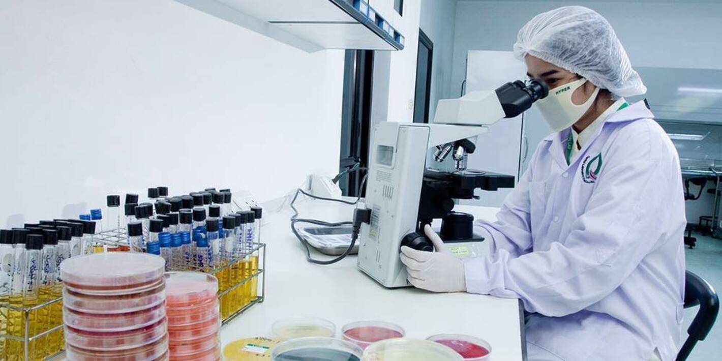 Оценка качества лекарственных препаратов. Микробиологическая лаборатория. Микробиологическое производство. Бактериологическая лаборатория. Лабораторные исследования пищевых продуктов.