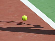 Словацкий теннисист поднялся на трибуну и накричал на фанатов