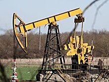 Bloomberg (США): Путин копит наличные, опасаясь продолжения нефтяной бойни
