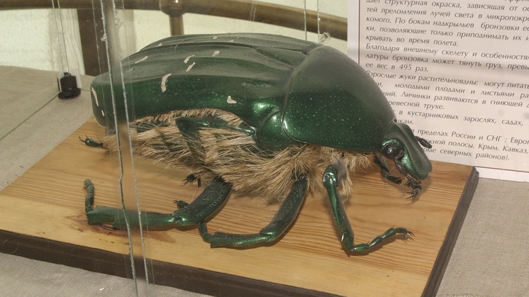 В Германии разработали новое супероружие для НАТО