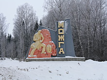 Пять муниципалитетов в Можгинском районе отказались от объединения в округ