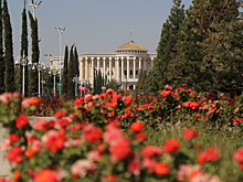 Выставки, презентация книг и концертная программа. День президента отмечают в Таджикистане