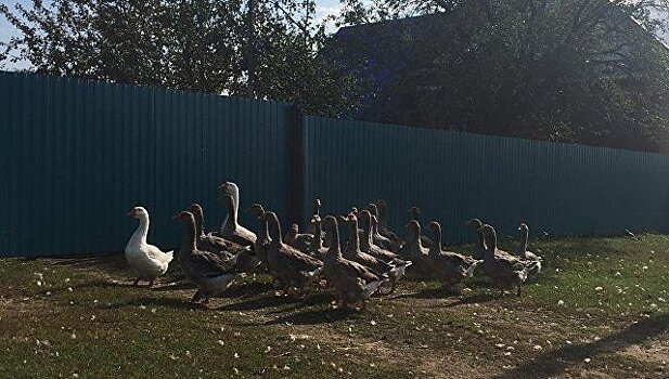 Строительство жилья на селе может принести более 1 трлн рублей инвестиций